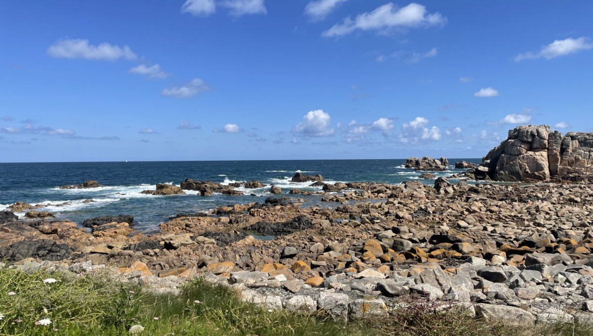 PLOUGRESCANT : Maison de pêcheur Maison Vente